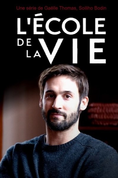 Póster de L'école de la vie
