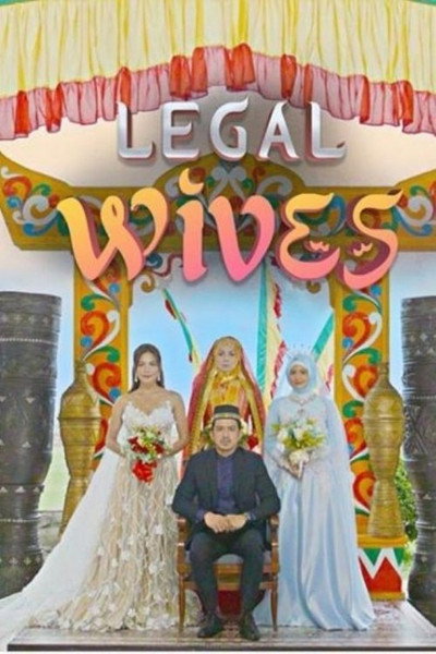 Póster de Legal Wives