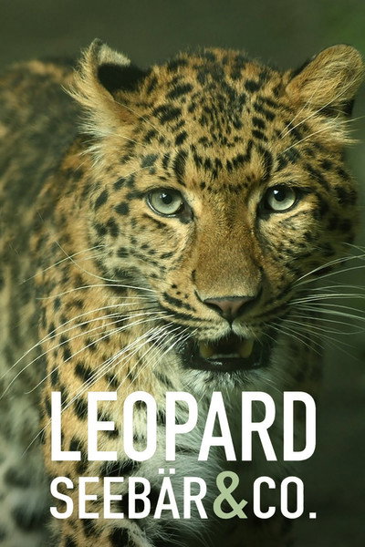 Póster de Leopard, Seebär & Co.