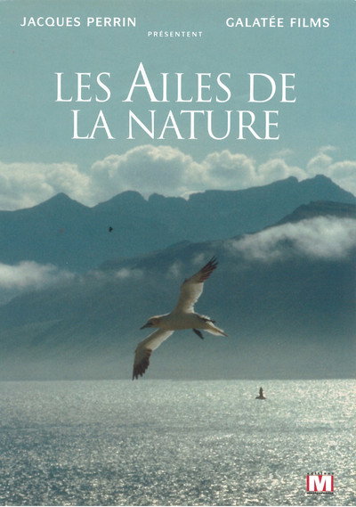 Póster de Les ailes de la nature