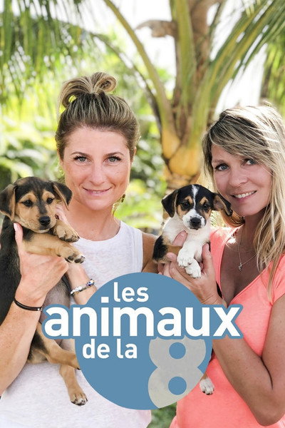 Póster de Les animaux de la 8
