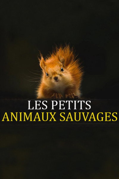 Póster de Les petits animaux sauvages