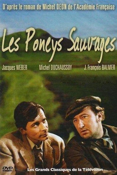 Póster de Les poneys sauvages