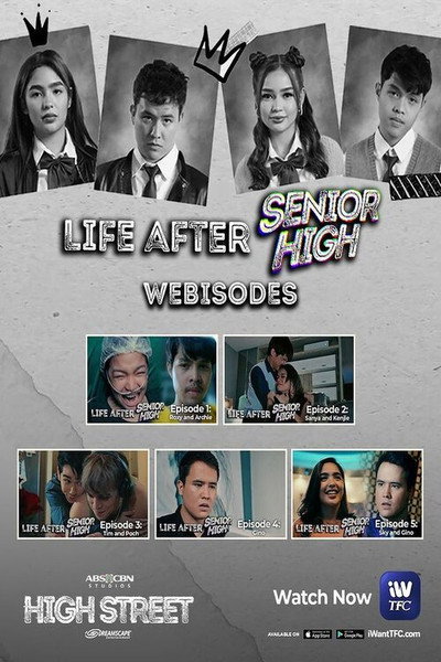 Póster de Life After Senior High