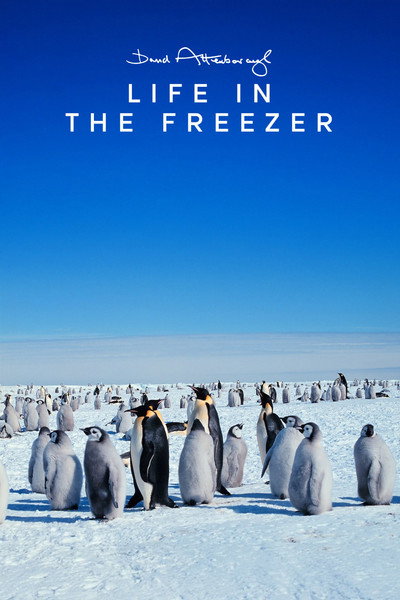 Póster de Life in the Freezer