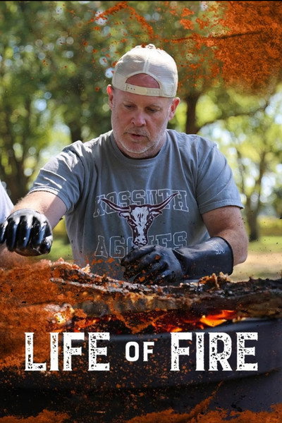 Póster de Life of Fire