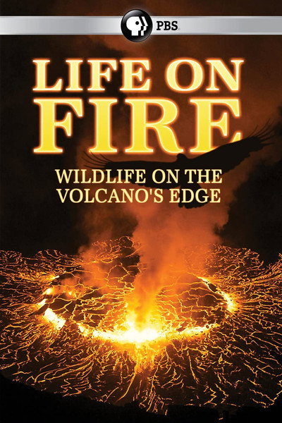 Póster de Life on Fire