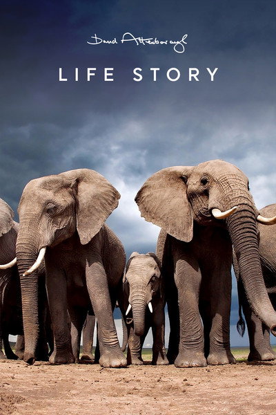 Póster de Life Story