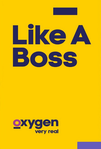 Póster de Like a Boss