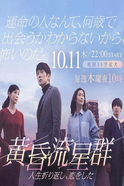 Póster de Like Shooting Stars in the Twilight