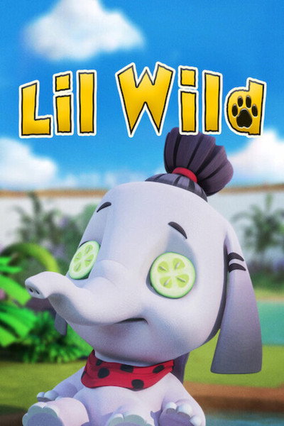 Póster de Lil Wild
