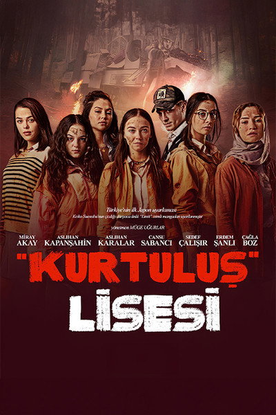 Póster de Limit
