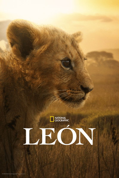 Póster de Lion