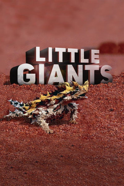 Póster de Little Giants