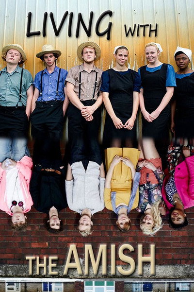 Póster de Living with the Amish