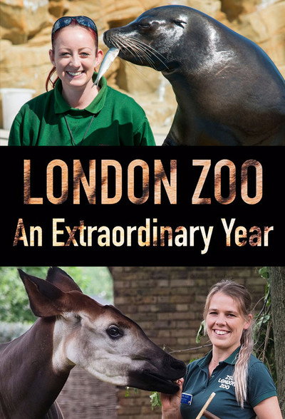 Póster de London Zoo: An Extraordinary Year