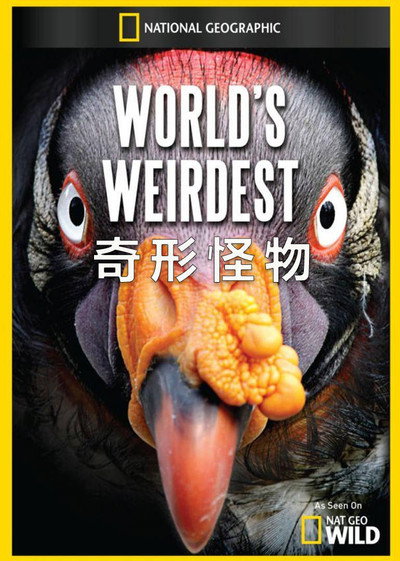 Póster de Los animales más raros del mundo