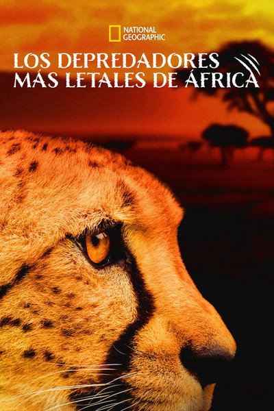 Póster de Los más mortales de África
