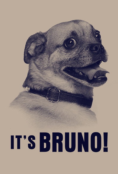 Póster de Los paseos de Bruno