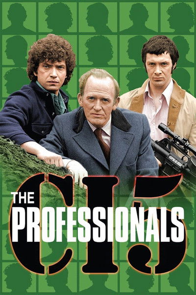 Póster de Los profesionales