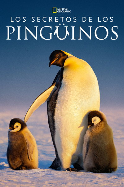 Póster de Los secretos de los pingüinos