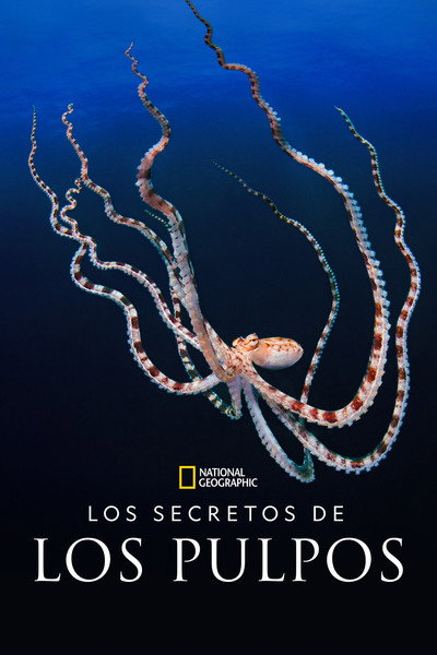Póster de Los secretos de los pulpos