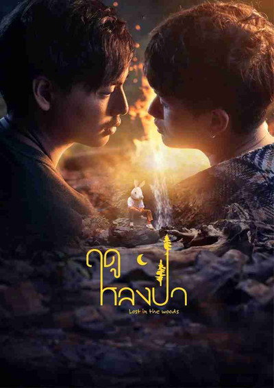 Póster de Lost in the Woods