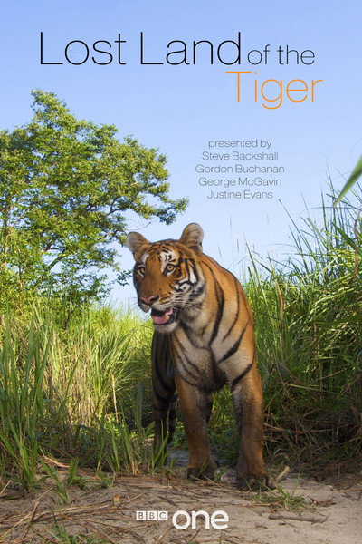 Póster de Lost Land of the Tiger