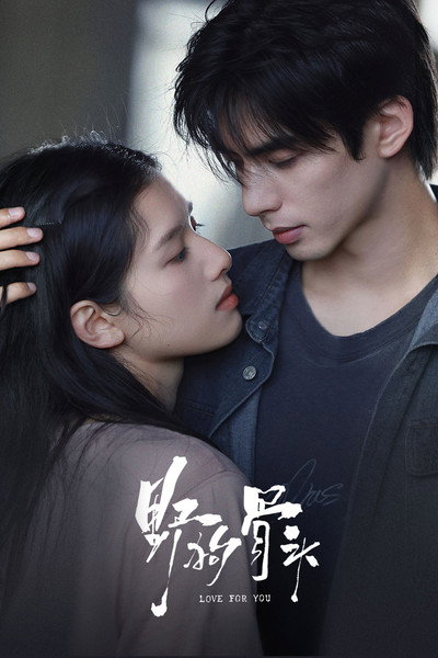 Póster de Love for You