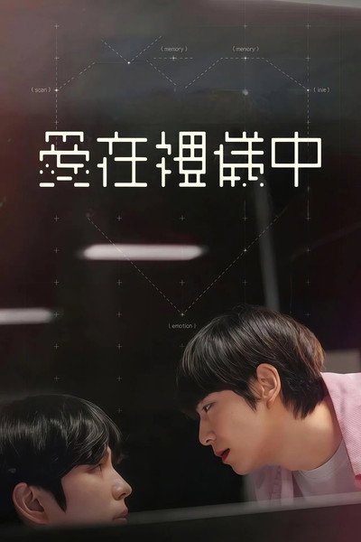 Póster de Love in Protocol