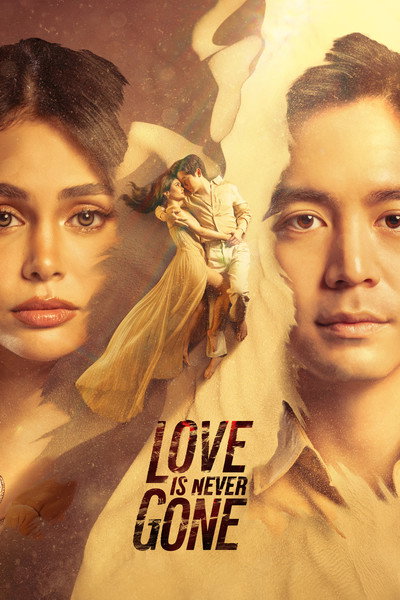Póster de Love Is Never Gone