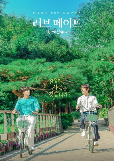 Póster de Love Mate