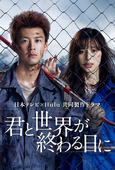 Póster de Love You as the World Ends