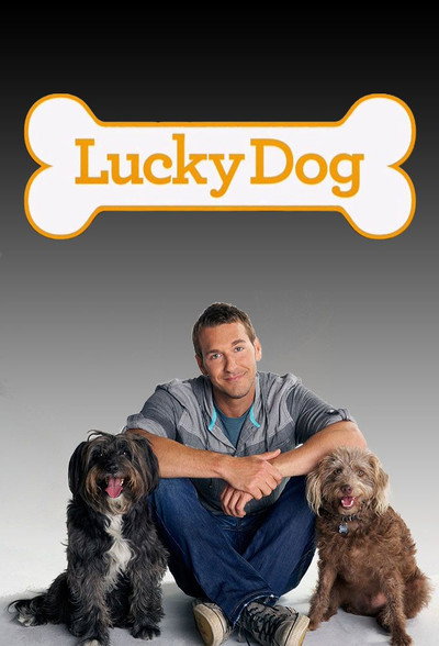 Póster de Lucky Dog