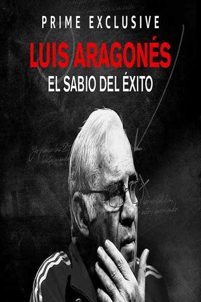 Póster de Luis, el sabio del éxito
