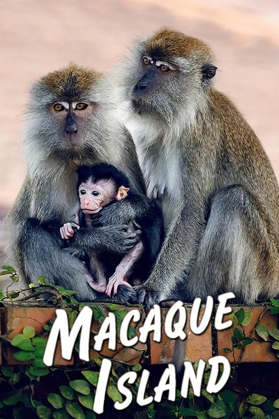 Póster de Macaque Island