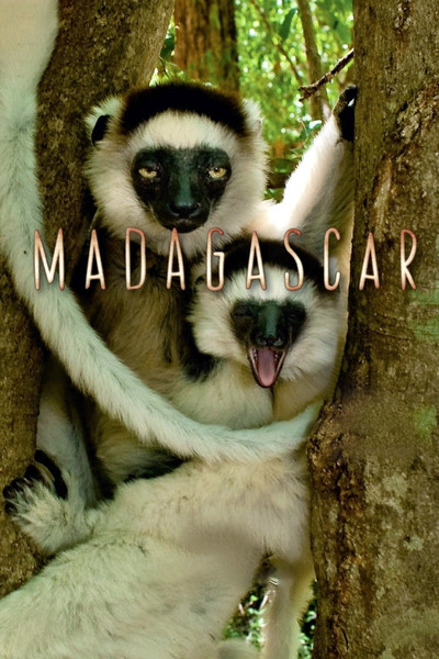 Póster de Madagascar