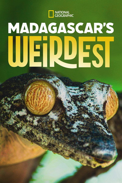 Póster de Madagascar Weirdest