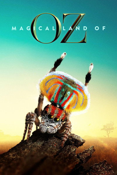 Póster de Magical Land of Oz
