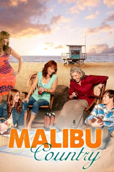 Póster de Malibu Country