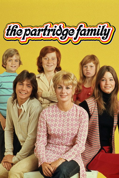 Póster de Mamá y sus increíbles hijos
