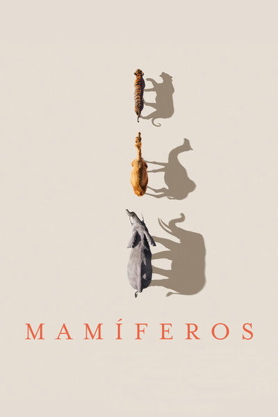 Póster de Mammals