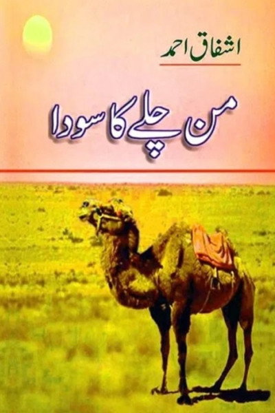 Póster de Mann Chalay Ka Sauda