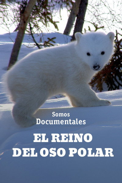 Póster de March of the Polar Bears