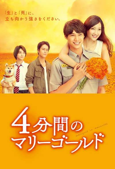 Póster de Marigold in 4 Minutes