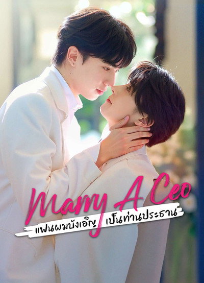 Póster de Marry A CEO