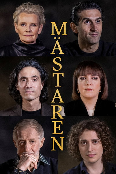 Póster de Mästaren