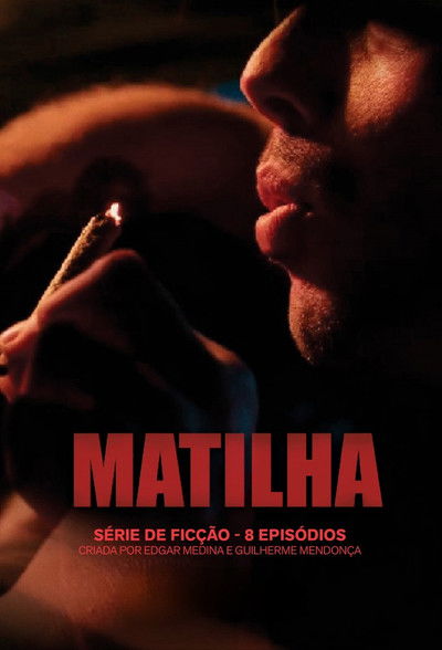 Póster de Matilha