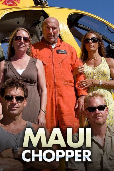 Póster de Maui Chopper