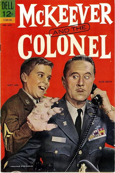 Póster de McKeever and the Colonel